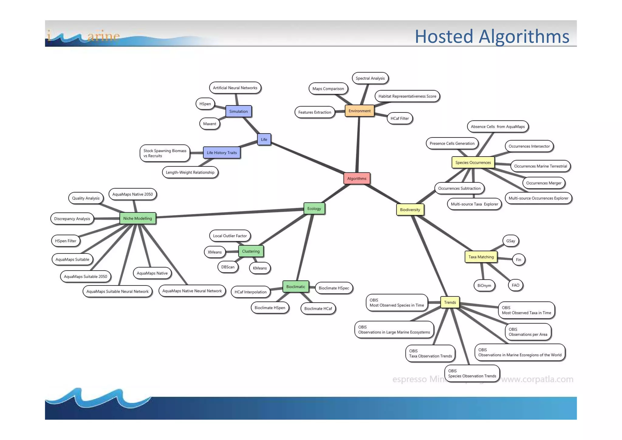 Hosted Algorithms

 