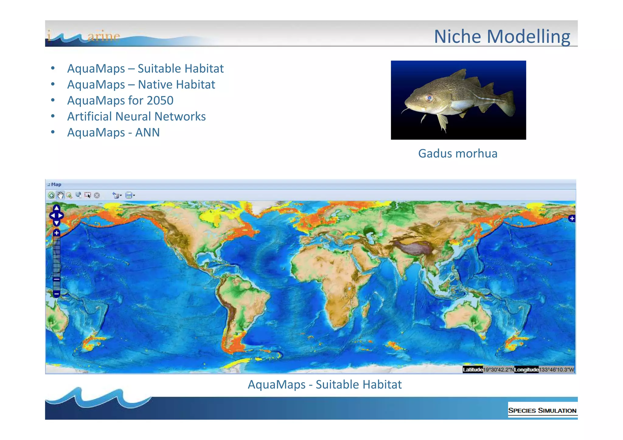Niche Modelling
•
•
•
•
•

AquaMaps – Suitable Habitat
AquaMaps – Native Habitat
AquaMaps for 2050
Artificial Neural Networks
AquaMaps - ANN
Gadus morhua

AquaMaps - Suitable Habitat

 