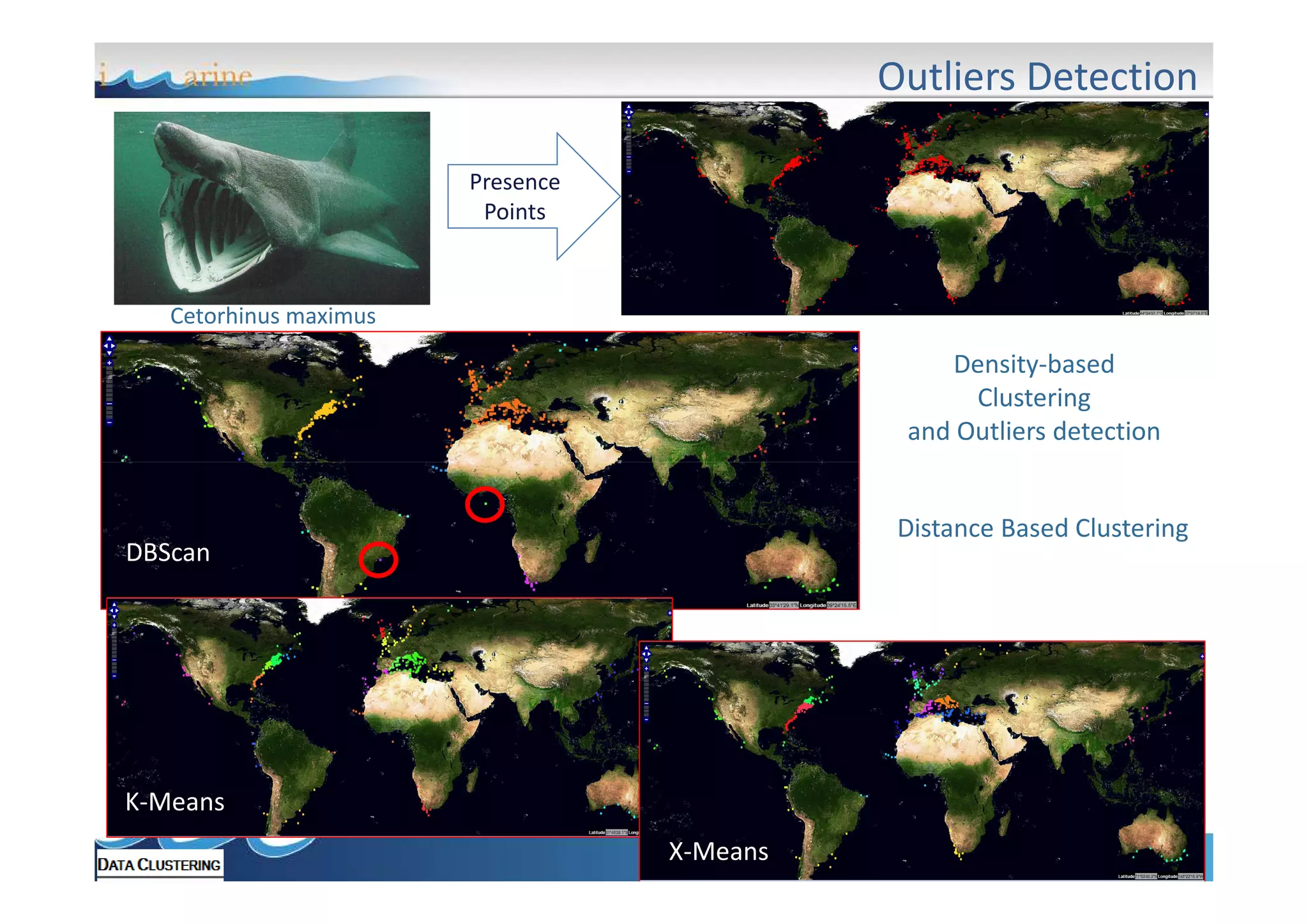 Outliers Detection
Presence
Points

Cetorhinus maximus

Density-based
Clustering
and Outliers detection

Distance Based Clustering

DBScan

K-Means
X-Means

 