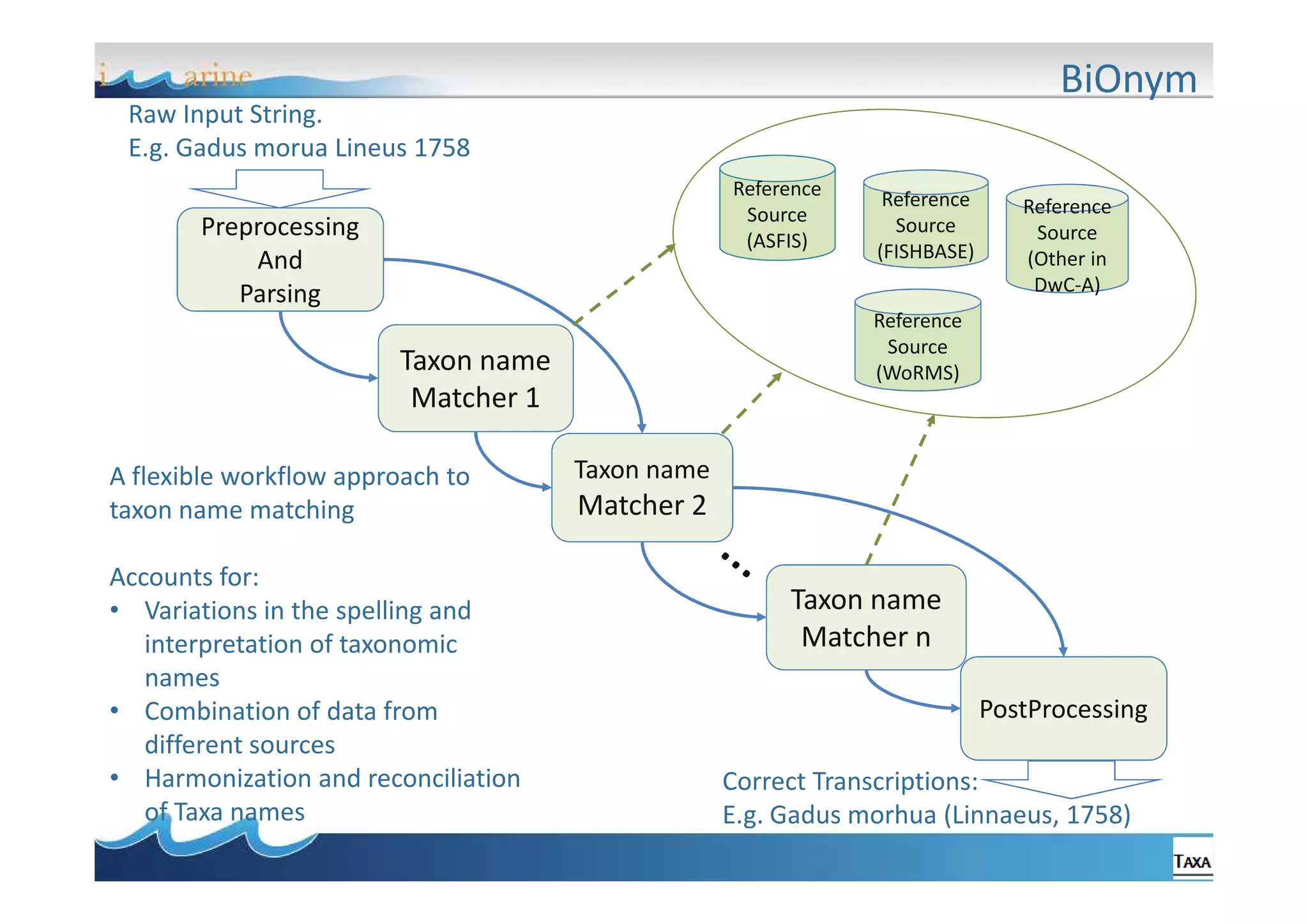 BiOnym
Raw Input String.
E.g. Gadus morua Lineus 1758
Reference
Source
(ASFIS)

Preprocessing
And
Parsing

Accounts for:
• Variations in the spelling and
interpretation of taxonomic
names
• Combination of data from
different sources
• Harmonization and reconciliation
of Taxa names

Reference
Source
(Other in
DwC-A)

Reference
Source
(WoRMS)

Taxon name
Matcher 1
A flexible workflow approach to
taxon name matching

Reference
Source
(FISHBASE)

Taxon name

Matcher 2
Taxon name
Matcher n
PostProcessing
Correct Transcriptions:
E.g. Gadus morhua (Linnaeus, 1758)

 