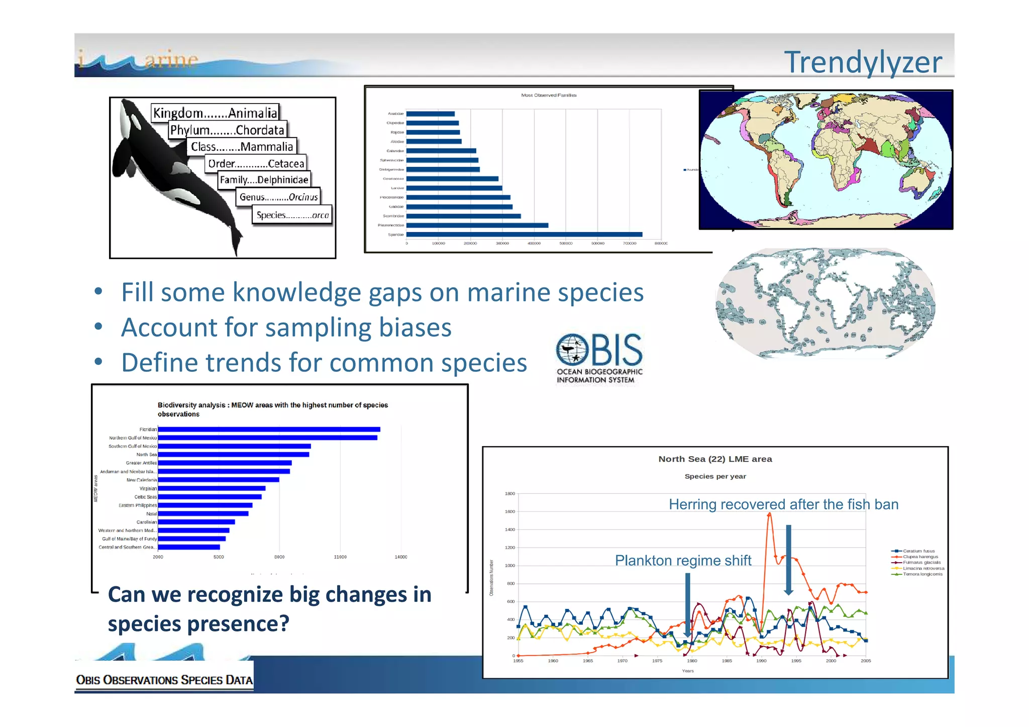 Trendylyzer

• Fill some knowledge gaps on marine species
• Account for sampling biases
• Define trends for common species

Herring recovered after the fish ban

Plankton regime shift

Can we recognize big changes in
species presence?

 