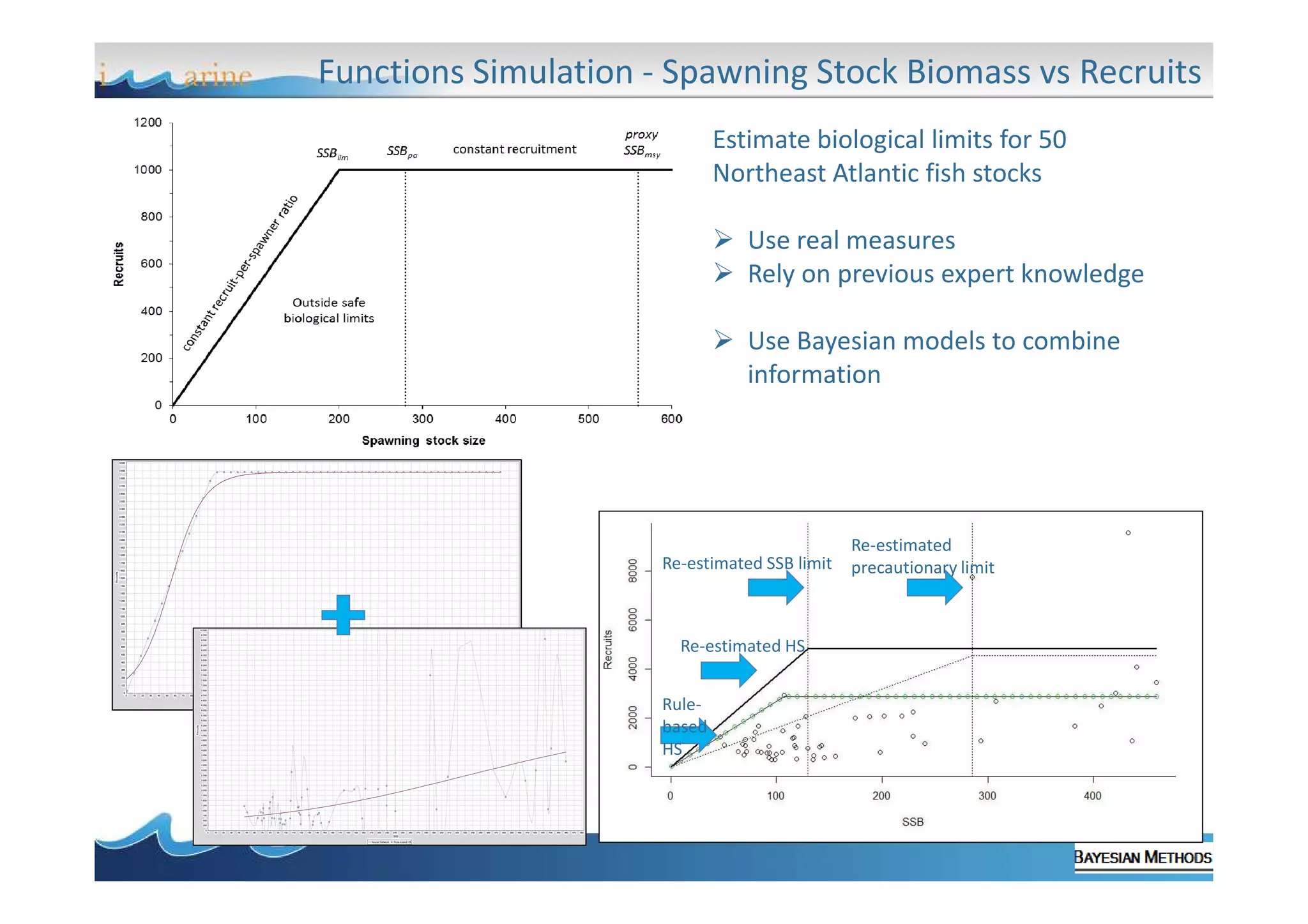 Functions Simulation - Spawning Stock Biomass vs Recruits
Estimate biological limits for 50
Northeast Atlantic fish stocks
Use real measures
Rely on previous expert knowledge
Use Bayesian models to combine
information

Re-estimated SSB limit

Re-estimated HS
Rulebased
HS

Re-estimated
precautionary limit

 