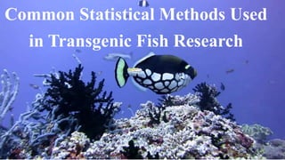 Common Statistical Methods Used
in Transgenic Fish Research
 