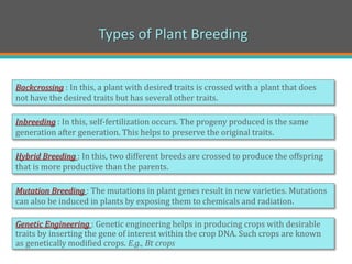 Types of Plant Breeding
Genetic Engineering : Genetic engineering helps in producing crops with desirable
traits by inserting the gene of interest within the crop DNA. Such crops are known
as genetically modified crops. E.g., Bt crops
Backcrossing : In this, a plant with desired traits is crossed with a plant that does
not have the desired traits but has several other traits.
Inbreeding : In this, self-fertilization occurs. The progeny produced is the same
generation after generation. This helps to preserve the original traits.
Hybrid Breeding : In this, two different breeds are crossed to produce the offspring
that is more productive than the parents.
Mutation Breeding : The mutations in plant genes result in new varieties. Mutations
can also be induced in plants by exposing them to chemicals and radiation.
 