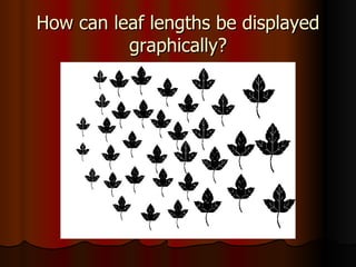 How can leaf lengths be displayed graphically? 