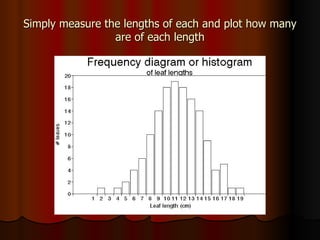 Simply measure the lengths of each and plot how many are of each length 