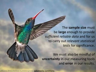 The sample size must
be large enough to provide
sufficient reliable data and for us
to carry out relevant statistical
tests for significance.
We must also be mindful of
uncertainty in our measuring tools
and error in our results.
Photo: Broadbilled hummingbird (wikimedia commons).
 