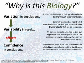 “Why is this Biology?”
Variation in populations.
Variability in results.
affects
Confidence
in conclusions.
The key methodology in Biology is hypothesis
testing through experimentation.
Carefully-designed and controlled
experiments and surveys give us quantitative
(numeric) data that can be compared.
We can use the data collected to test our
hypothesis and form explanations of the
processes involved… but only if we can be
confident in our results.
We therefore need to be able to evaluate the
reliability of a set of data and the significance
of any differences we have found in the data.
Image: 'Transverse section of part of a stem of a Dead-nettle (Lamium sp.) showing+a+vascular+bundle+and+part+of+the+cortex'
http://www.flickr.com/photos/71183136@N08/6959590092 Found on flickrcc.net
 