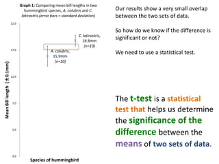 A. colubris,
15.9mm
(n=10)
C. latirostris,
18.8mm
(n=10)
-3.0
2.0
7.0
12.0
17.0
22.0
MeanBilllength(±0.1mm)
Species of hummingbird
Graph 1: Comparing mean bill lengths in two
hummingbird species, A. colubris and C.
latirostris.(error bars = standard deviation)
Our results show a very small overlap
between the two sets of data.
So how do we know if the difference is
significant or not?
We need to use a statistical test.
The t-test is a statistical
test that helps us determine
the significance of the
difference between the
means of two sets of data.
 