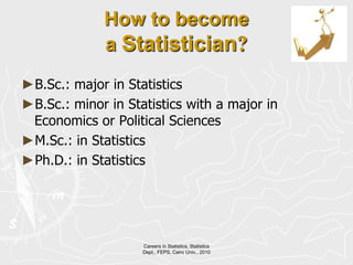 Computer/programming skills