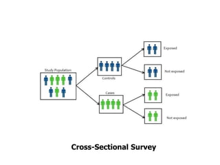 Cross-Sectional Survey
 