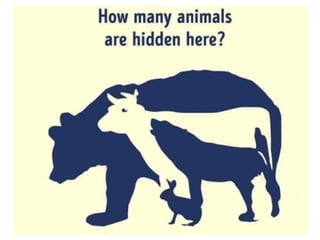 Dr. Khoe Yao Tung, MSc.Ed, M.Ed.
 