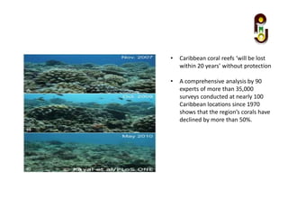 • Caribbean coral reefs ‘will be lost
within 20 years’ without protection
• A comprehensive analysis by 90
experts of more than 35,000
surveys conducted at nearly 100
Caribbean locations since 1970
shows that the region’s corals have
declined by more than 50%.
 