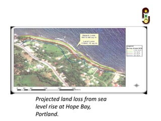Projected land loss from sea
level rise at Hope Bay,
Portland.
 