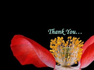 Line & Bar Diagram Presentation