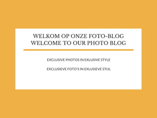 WELKOM OP ONZE FOTO-BLOG
WELCOME TO OUR PHOTO BLOG
EXCLUSIVE PHOTOS IN EXLUSIVE STYLE
EXCLUSIEVE FOTO'S IN EXLUSIEVE STIJL
 