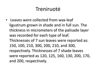 Treniruotė
• Leaves were collected from wax-leaf
ligustrum grown in shade and in full sun. The
thickness in micrometers of the palisade layer
was recorded for each type of leaf.
Thicknesses of 7 sun leaves were reported as:
150, 100, 210, 300, 200, 210, and 300,
respectively. Thicknesses of 7 shade leaves
were reported as 120, 125, 160, 130, 200, 170,
and 200, respectively.
 