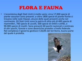 FLORA E FAUNA
• L'ecosistema degli Stati Uniti è molto vario: circa 17.000 specie di
piante vascolari sono presenti ,e oltre 1800 specie di piante fiorite si
trovano nelle isole Hawaii, alcune delle quali presenti anche nel
continente. Gli Stati Uniti sono la patria di oltre più di 400 specie di
mammiferi, 700 specie di uccelli, 500 specie di rettili e anfibi, e
90.000 specie di insetti. Sono presenti 60 parchi nazionali e centinaia
di altri parchi, foreste e zone desertiche protette a livello federale.
Nel complesso il governo gestisce il 28,8% del territorio, buona parte
del quale è protetta.
 