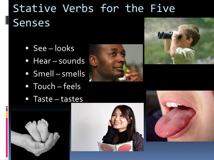 stative-verbs