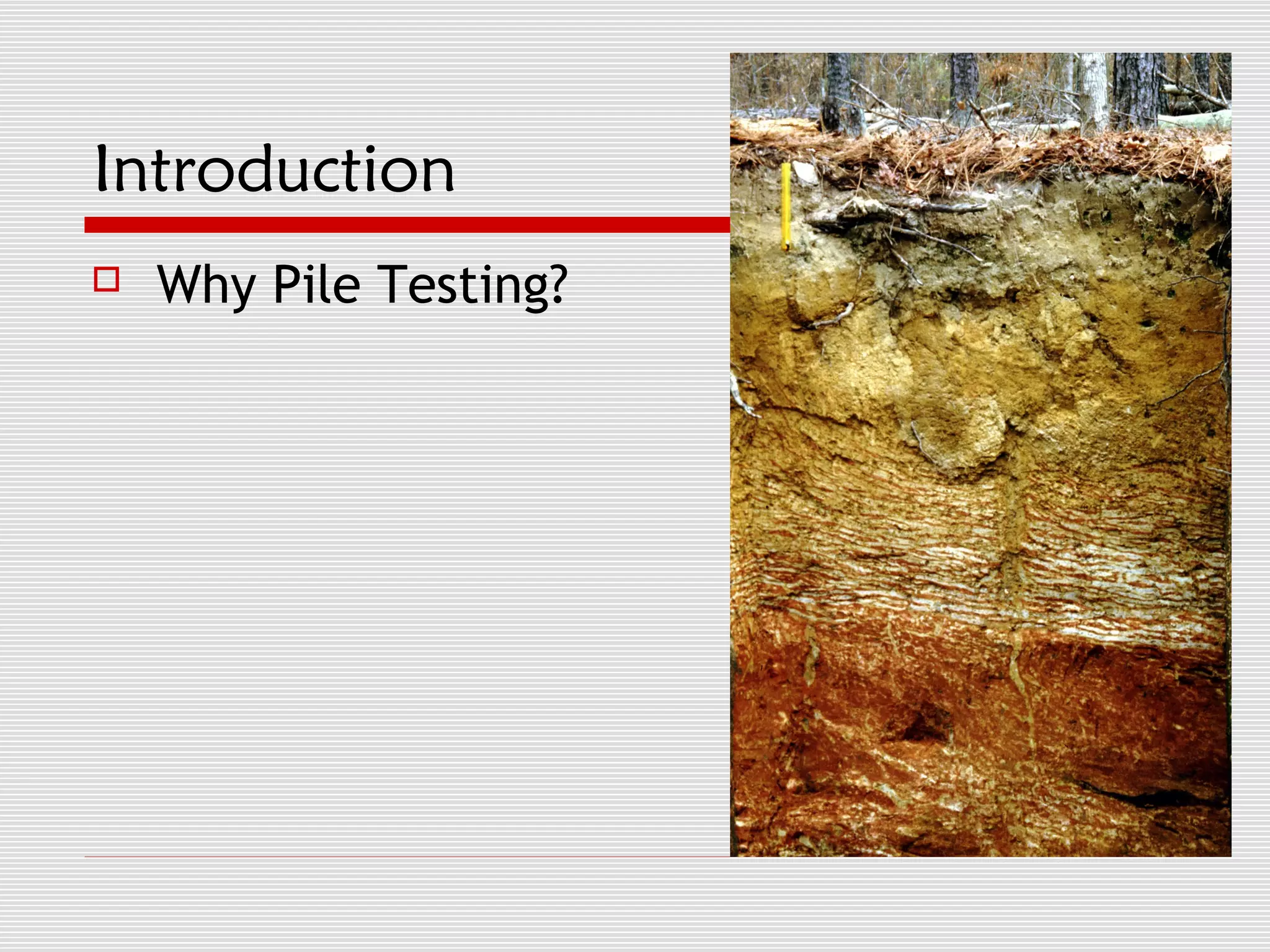 Introduction
   Why Pile Testing?
 