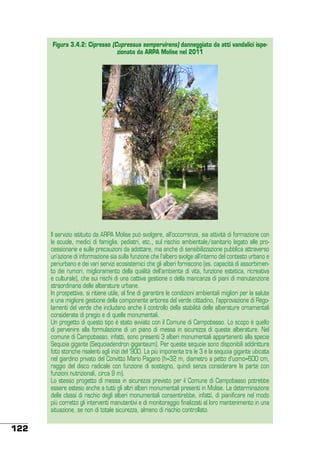 Figura 3.4.2: Cipresso (Cupressus sempervirens) danneggiato da atti vandalici ispezionato da ARPA Molise nel 2011

Il servizio istituito da ARPA Molise può svolgere, all’occorrenza, sia attività di formazione con
le scuole, medici di famiglia, pediatri, etc., sul rischio ambientale/sanitario legato alle processionarie e sulle precauzioni da adottare, ma anche di sensibilizzazione pubblica attraverso
un’azione di informazione sia sulla funzione che l’albero svolge all’interno del contesto urbano e
periurbano e dei vari servizi ecosistemici che gli alberi forniscono (es. capacità di assorbimento dei rumori, miglioramento della qualità dell’ambiente di vita, funzione estetica, ricreativa
e culturale), che sui rischi di una cattiva gestione o della mancanza di piani di manutenzione
straordinaria delle alberature urbane.
In prospettiva, si ritiene utile, al fine di garantire le condizioni ambientali migliori per la salute
e una migliore gestione della componente arborea del verde cittadino, l’approvazione di Regolamenti del verde che includano anche il controllo della stabilità delle alberature ornamentali
considerate di pregio e di quelle monumentali.
Un progetto di questo tipo è stato avviato con il Comune di Campobasso. Lo scopo è quello
di pervenire alla formulazione di un piano di messa in sicurezza di queste alberature. Nel
comune di Campobasso, infatti, sono presenti 3 alberi monumentali appartenenti alla specie
Sequoia gigante (Sequoiadendron giganteum). Per queste sequoie sono disponibili addirittura
foto storiche risalenti agli inizi del ‘900. La più imponente tra le 3 è la sequoia gigante ubicata
nel giardino privato del Convitto Mario Pagano (h=32 m, diametro a petto d’uomo=600 cm,
raggio del disco radicale con funzione di sostegno, quindi senza considerare la parte con
funzioni nutrizionali, circa 9 m).
Lo stesso progetto di messa in sicurezza previsto per il Comune di Campobasso potrebbe
essere esteso anche a tutti gli altri alberi monumentali presenti in Molise. La determinazione
delle classi di rischio degli alberi monumentali consentirebbe, infatti, di pianificare nel modo
più corretto gli interventi manutentivi e di monitoraggio finalizzati al loro mantenimento in una
situazione, se non di totale sicurezza, almeno di rischio controllato.

122

 