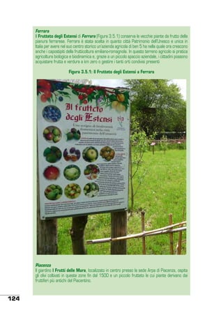 Ferrara
Il Frutteto degli Estensi di Ferrara (Figura 3.5.1) conserva le vecchie piante da frutto della
pianura ferrarese. Ferrara è stata scelta in quanto città Patrimonio dell’Unesco e unica in
Italia per avere nel suo centro storico un’azienda agricola di ben 5 ha nella quale ora crescono
anche i capostipiti della frutticoltura emiliano-romagnola. In questo terreno agricolo si pratica
agricoltura biologica e biodinamica e, grazie a un piccolo spaccio aziendale, i cittadini possono
acquistare frutta e verdura a km zero o gestire i tanti orti condivisi presenti
Figura 3.5.1: Il Frutteto degli Estensi a Ferrara

Piacenza
Il giardino I Frutti delle Mura, localizzato in centro presso la sede Arpa di Piacenza, ospita
gli olivi coltivati in queste zone fin dal 1500 e un piccolo frutteto le cui piante derivano dai
fruttiferi più antichi del Piacentino.

124

 