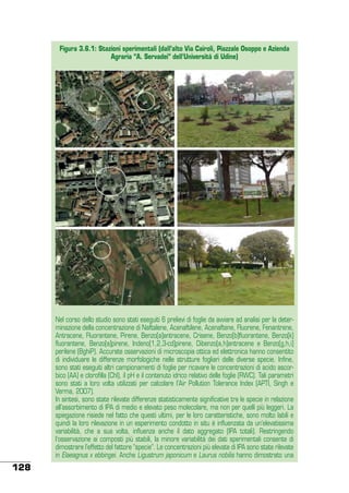 Figura 3.6.1: Stazioni sperimentali (dall’alto Via Cairoli, Piazzale Osoppo e Azienda
Agraria “A. Servadei” dell’Università di Udine)

Nel corso dello studio sono stati eseguiti 6 prelievi di foglie da avviare ad analisi per la determinazione della concentrazione di Naftalene, Acenaftilene, Acenaftene, Fluorene, Fenantrene,
Antracene, Fluorantene, Pirene, Benzo[a]antracene, Crisene, Benzo[b]fluorantene, Benzo[k]
fluorantene, Benzo[a]pirene, Indeno[1,2,3-cd]pirene, Dibenzo[a,h]antracene e Benzo[g,h,i]
perilene (BghiP). Accurate osservazioni di microscopia ottica ed elettronica hanno consentito
di individuare le differenze morfologiche nelle strutture fogliari delle diverse specie. Infine,
sono stati eseguiti altri campionamenti di foglie per ricavare le concentrazioni di acido ascorbico (AA) e clorofilla (Chl), il pH e il contenuto idrico relativo delle foglie (RWC). Tali parametri
sono stati a loro volta utilizzati per calcolare l’Air Pollution Tolerance Index (APTI, Singh e
Verma, 2007).
In sintesi, sono state rilevate differenze statisticamente significative tra le specie in relazione
all’assorbimento di IPA di medio e elevato peso molecolare, ma non per quelli più leggeri. La
spiegazione risiede nel fatto che questi ultimi, per le loro caratteristiche, sono molto labili e
quindi la loro rilevazione in un esperimento condotto in situ è influenzata da un’elevatissima
variabilità, che a sua volta, influenza anche il dato aggregato (IPA totali). Restringendo
l’osservazione ai composti più stabili, la minore variabilità dei dati sperimentali consente di
dimostrare l’effetto del fattore “specie”. Le concentrazioni più elevate di IPA sono state rilevate
in Elaeagnus x ebbingei. Anche Ligustrum japonicum e Laurus nobilis hanno dimostrato una

128

 