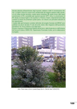 discreta attitudine all’assorbimento degli inquinanti, sebbene a livelli di concentrazione inferiori. Le foglie di Viburnum lucidum sono caratterizzate dal maggiore spessore della cuticola,
e la più bassa densità stomatica; questa specie presentava allo stesso tempo delle basse
concentrazioni di IPA e sensibilità agli inquinanti secondo l’APTI. Infine, le concentrazioni di
IPA rilevate nei tessuti fogliari di Ilex aquifolium e Photinia x fraserii, indipendentemente dalle
condizioni di stress che presentano queste specie, non indicano una particolare attitudine al
loro assorbimento.
I risultati delle sperimentazioni condotte nell’ambito del progetto finanziato dal MIPAAF sono
pubblicati nel volume dal titolo “Il ruolo del verde urbano nella mitigazione dell’inquinamento
atmosferico” Ed. Forum (Udine) a cura degli autori.
Gli autori ringraziano il Dipartimento Gestione del territorio, delle Infrastrutture e dell’Ambiente
del Comune di Udine e l’ARPA FVG - Dipartimento Provinciale di Udine, per la collaborazione
al progetto.

Udine - Piante messe a dimora in piazzale Osoppo (foto di L. Marchiol, data 13/06/2013)

129

 