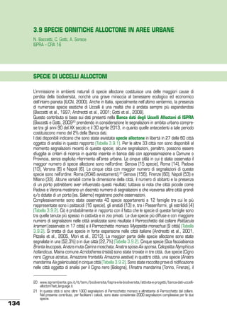 3.9 SPECIE ORNITICHE ALLOCTONE IN AREE URBANE
N. Baccetti, C. Gotti, A. Sorace
ISPRA – CRA 16

SPECIE DI UCCELLI ALLOCTONI
L’immissione in ambienti naturali di specie alloctone costituisce una delle maggiori cause di
perdita della biodiversità, nonchè una grave minaccia al benessere ecologico ed economico
dell’intero pianeta (IUCN, 2000). Anche in Italia, specialmente nell’ultimo ventennio, la presenza
di numerose specie esotiche di Uccelli è una realtà che è andata sempre più espandendosi
(Baccetti et al., 1997; Andreotti et al., 2001; Gotti et al., 2008).
Questo contributo si basa sui dati presenti nella Banca dati degli Uccelli Alloctoni di ISPRA
(Baccetti e Gotti, 200920 prendendo in considerazione le segnalazioni in ambito urbano comprese tra gli anni 90 del XX secolo e il 30 aprile 2013, in quanto quelle antecedenti a tale periodo
costituiscono meno del 2% della Banca dati.
I dati disponibili indicano che sono state avvistate specie alloctone in libertà in 27 delle 60 città
oggetto di analisi in questo rapporto (Tabella 3.9.1). Per le altre 33 città non sono disponibili al
momento segnalazioni recenti di queste specie; alcune segnalazioni, peraltro, possono essere
sfuggite ai criteri di ricerca in quanto inserite in banca dati con approssimazione a Comune o
Provincia, senza esplicito riferimento all’area urbana. Le cinque città in cui è stato osservato il
maggior numero di specie alloctone sono nell’ordine: Genova (15 specie), Roma (14), Padova
(10), Verona (8) e Napoli (6). Le cinque città con maggior numero di segnalazioni di queste
specie sono nell’ordine: Roma (2046 avvistamenti),21 Genova (156), Firenze (60), Napoli (53) e
Milano (33). Alcune variabili come la dimensione della città, il numero di abitanti e la presenza
di un porto potrebbero aver influenzato questi risultati; tuttavia si nota che città piccole come
Padova e Verona mostrano un discreto numero di segnalazioni e che viceversa altre città grandi
e/o dotate di un porto (es. Salerno) registrano poche osservazioni.
Complessivamente sono state osservate 43 specie appartenenti a 12 famiglie tra cui le più
rappresentate sono i psittacidi (16 specie), gli anatidi (13) e, tra i Passeriformi, gli estrildidi (4)
(Tabella 3.9.2). Ciò è probabilmente in rapporto con il fatto che le specie di queste famiglie sono
tra quelle tenute più spesso in cattività e in zoo privati. Le due specie più diffuse e con maggiore
numero di segnalazioni nelle città analizzate sono risultate il Parrocchetto dal collare Psittacula
krameri (osservato in 17 città) e il Parrocchetto monaco Myiopsitta monachus (9 città) (Tabella
3.9.2). Si tratta di due specie in forte espansione nelle città italiane (Andreotti et al., 2001,
Pitzalis et al., 2005, Mori et al., 2013). La maggior parte delle specie alloctone sono state
segnalate in una (52,3%) o in due città (22,7%) (Tabella 3.9.2). Cinque specie (Oca facciabianca
Branta leucopsis, Anatra muta Cairina moschata, Anatra sposa Aix sponsa, Calopsitta Nymphicus
hollandicus, Maina comune Acridotheres tristis) sono state trovate in tre città, due specie (Cigno
nero Cygnus atratus, Amazzone fronteblù Amazona aestiva) in quattro città, una specie (Anatra
mandarina Aix galericulata) in cinque città (Tabella 3.9.2). Sono state raccolte prove di nidificazione
nelle città oggetto di analisi per il Cigno nero (Bologna), l’Anatra mandarina (Torino, Firenze), il

134

20	 www.isprambiente.gov.it/it/temi/biodiversita/lispra-e-la-biodiversita/attivita-e-progetti/banca-dati-uccellialloctoni?set_language.it
21	 In questa città ci sono oltre 1000 segnalazioni di Parrocchetto monaco e altrettante di Parrocchetto dal collare.
Nel presente contributo, per facilitare i calcoli, sono state considerate 2000 segnalazioni complessive per le due
specie.

 