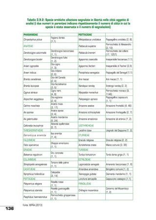 Tabella 3.9.2: Specie ornitiche alloctone segnalate in libertà nelle città oggetto di
analisi (i due numeri in parentesi indicano rispettivamente il numero di città in cui la
specie è stata osservata e il numero di segnalazioni)
PHASIANIDAE
Chrysolophus pictus
ANATIDAE
Dendrocygna autumnalis
Dendrocygna bicolor
Anser cygnoides
Anser indicus
Branta canadensis
Branta leucopsis
Cygnus atratus
Alopochen aegyptiaca
Cairina moschata
Aix sponsa
Aix galericulata
Callonetta leucophrys
THRESKIORNITHIDAE
Geronticus eremita
FALCONIDAE
Falco sparverius
GRUIDAE
Balearica regulorum
COLUMBIDAE
Streptopelia senegalensis
CACATUIDAE
Nymphicus hollandicus
PSITTACIDAE
Platycercus elegans
Platycercus icterotis
Psephotus haematonotus

136

Fonte: ISPRA (2013)

 
Fagiano dorato
(1,1)
 
Dendrocigna beccorosso
(1, 1)
Dendrocigna fulva
(1, 2)
Oca cigno
(1, 3)
Oca indiana
(2, 6)
Oca del Canada
(2, 4)
Oca facciabianca
(3, 5)
Cigno nero
(4, 8)
Oca egiziana
(2, 4)
Anatra muta
(3, 17)
Anatra sposa
(3, 4)
Anatra mandarina
(5, 24)
Alzavola spallerosse
(2, 7)
 
Ibis eremita
(1, 4)
 
Gheppio americano
(1, 1)
 
Gru coronata
(1, 1)
 
Tortora delle palme
(1, 1)
 
Calopsitta
(3, 14)
 
Rosella rossa
(1, 1)
Rosella guancegialle
(1, 1)
Parrocchetto gropparossa
(1, 1)

PSITTACIDAE
Melopsittacus undulatus
Psittacula eupatria
Psittacula krameri

 
Pappagallino ondulato (2, 8)
Parrocchetto di Alessandro
(2, 12)
Parrocchetto dal collare
(17, 1257)

Agapornis roseicollis

Inseparabile facciarosa (1,1)

Agapornis fischeri

Inseparabile di Fischer (2,3)

Poicephalus senegalus

Pappagallo del Senegal (1,1)

Ara macao

Ara macao (1, 1)

Nandayus nenday
Myiopsitta monachus
Psilopsiagon aymara

Aratinga nanday (2, 2)
Parrocchetto monaco (9,
1146)
Pappagallino caposcuro
(1, 1)

Amazona aestiva

Amazzone fronteblù (4, 46)

Amazona ochrocephala

Amazzone frontegialla (2, 7)

Amazona amazonica

Amazzone ali arancio (1, 2)

LEIOTHRICHIDAE

 

Leiothrix lutea

Usignolo del Giappone (1, 2)

STURNIDAE

 

Gracula religiosa

Gracula religiosa (2, 2)

Acridotheres tristis

Maina comune (3, 35)

TURDIDAE

 

Turdus hortulorum

Tordo dorso grigio (1, 1)

ESTRILDIDAE

 

Lagonosticta senegala

Amaranto beccorosso (1, 6)

Amandava amandava

Bengalino comune (1, 2)

Taeniopygia guttata

Diamante mandarino (1, 1)

Lonchura atricapilla

Cappuccino castagno (1,1)

FRINGILLIDAE

 

Crithagra mozambica

Canarino del Mozambico
(1, 2)

 