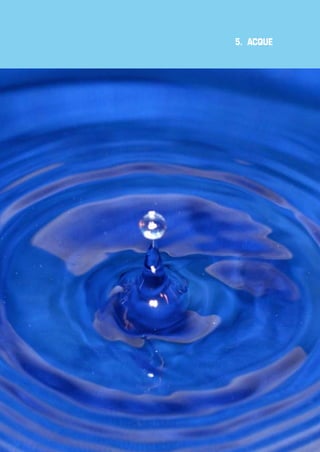 5. ACQUE

183

 