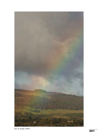 (foto: M. Mirabile - ISPRA)

221

 