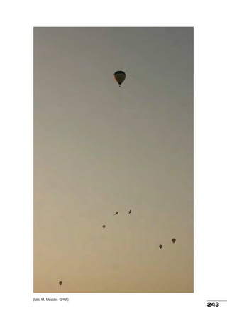 (foto: M. Mirabile - ISPRA)

243

 