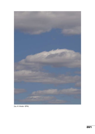 (foto: M. Mirabile - ISPRA)

261

 