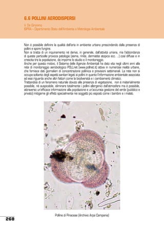 6.6 POLLINI AERODISPERSI
V. De Gironimo
ISPRA – Dipartimento Stato dell’Ambiente e Metrologia Ambientale

Non è possibile definire la qualità dell’aria in ambiente urbano prescindendo dalla presenza di
pollini e spore fungine.
Non si tratta di un inquinamento né deriva, in generale, dall’attività umana, ma l’abbondanza
di queste particelle provoca patologie (asma, rinite, dermatite atopica ecc. ..) così diffuse e in
crescita tra la popolazione, da imporne lo studio e il monitoraggio.
Anche per questo motivo, il Sistema delle Agenzie Ambientali ha dato vita negli ultimi anni alla
rete di monitoraggio aerobiologico POLLnet (www.pollnet.it) attiva in numerose realtà urbane,
che fornisce dati giornalieri di concentrazione pollinica e previsioni settimanali. La rete non si
occupa soltanto degli aspetti sanitari legati ai pollini in quanto l’informazione ambientale associata
ad essi riguarda anche altri fattori come la biodiversità e i cambiamenti climatici.
Trattandosi di un fenomeno naturale dovuto alla presenza di vegetazione, non è materialmente
possibile, né auspicabile, eliminare totalmente i pollini allergenici dall’atmosfera ma è possibile,
attraverso un’efficace informazione alla popolazione e un’accurata gestione del verde (pubblico e
privato) mitigarne gli effetti specialmente nei soggetti più esposti come i bambini e i malati.

268

Polline di Pinaceae (Archivio Arpa Campania)

 
