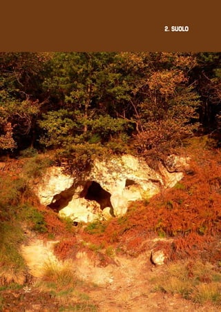 2. SUOLO

17

 