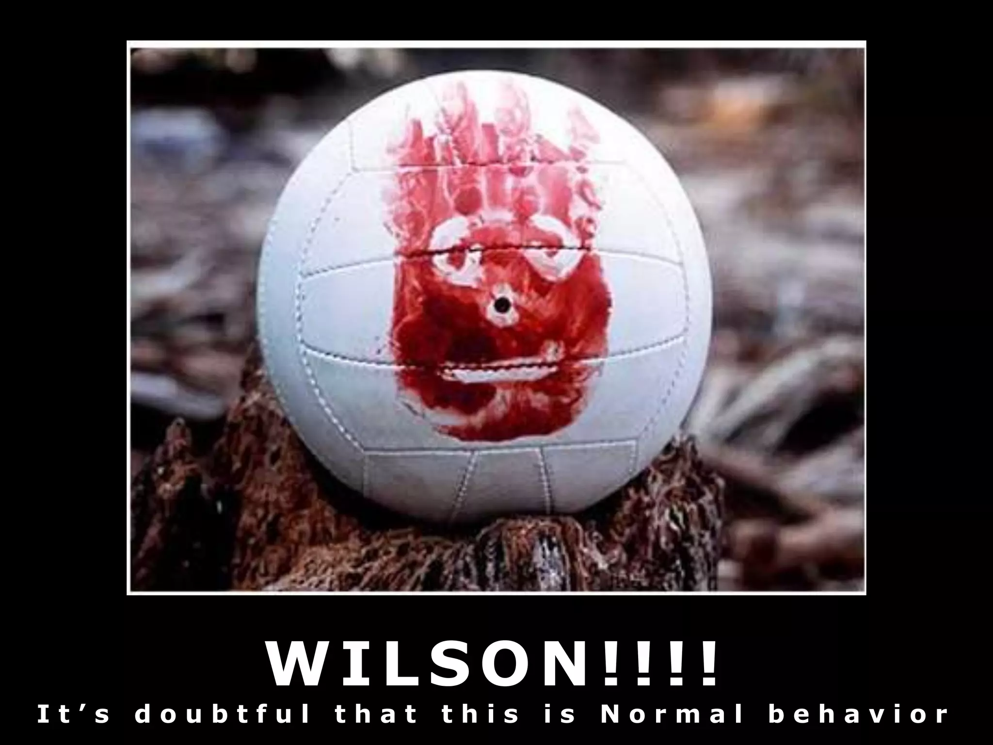 WILSON!!!!It’s doubtful that this is Normal behavior