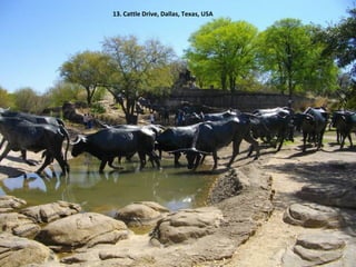 13. Cattle Drive, Dallas, Texas, USA
 