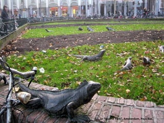 17. Le “Iguana Park”, Amsterdam, Pays-Bas
 