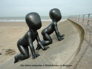 Des bébés intrépides à Middelkerke, en Belgique
 