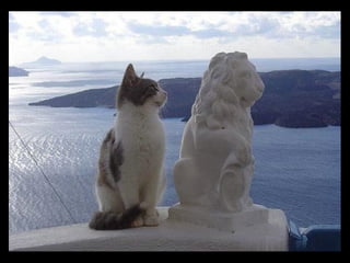 Statues Sympathiques avec originalités