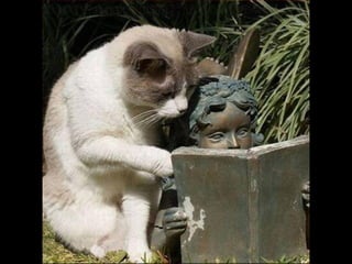 Statues Sympathiques avec originalités