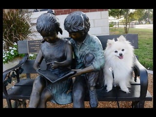 Statues Sympathiques avec originalités