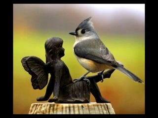 Statues Sympathiques avec originalités