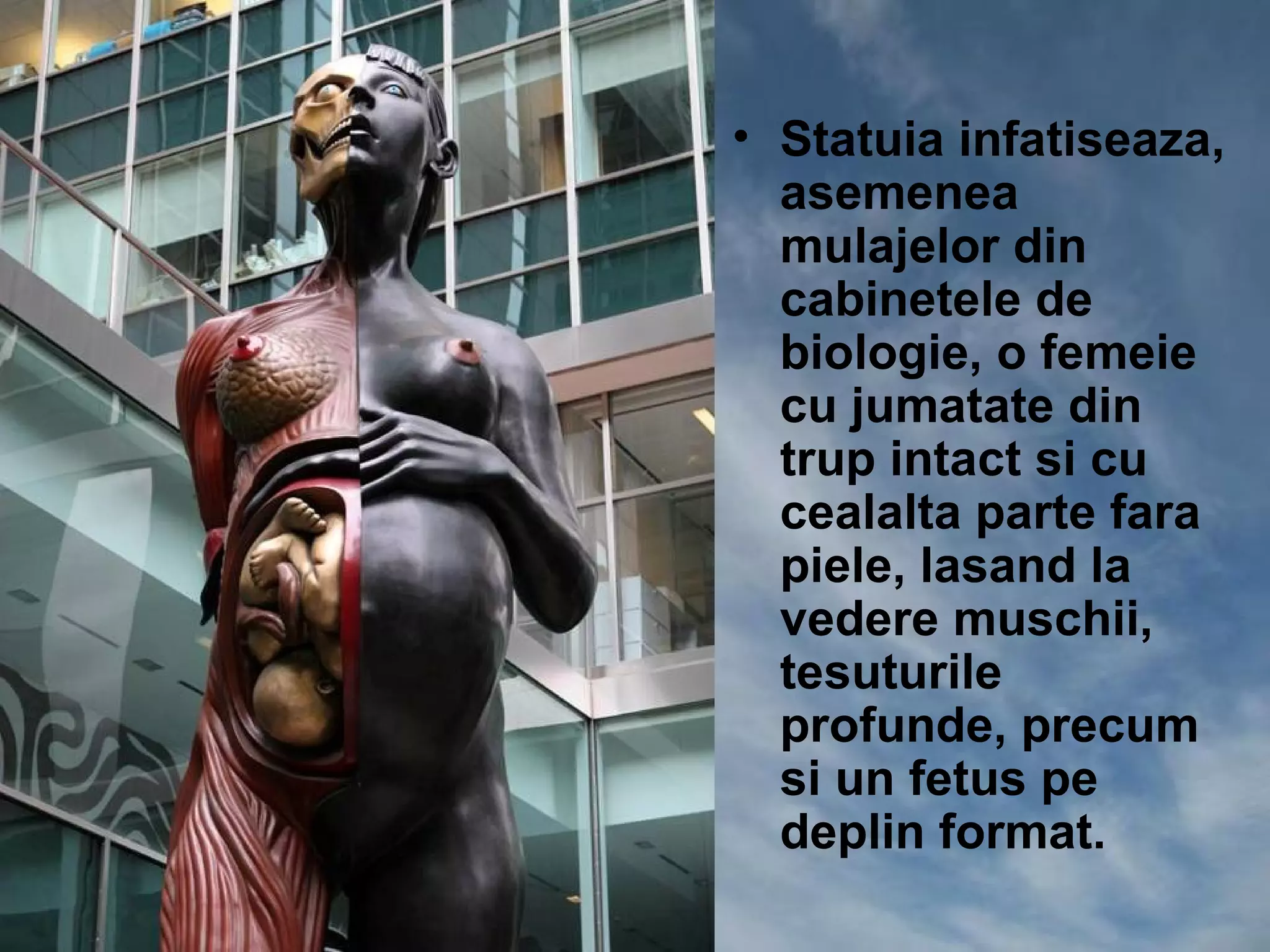• Statuia infatiseaza,
  asemenea
  mulajelor din
  cabinetele de
  biologie, o femeie
  cu jumatate din
  trup intact si cu
  cealalta parte fara
  piele, lasand la
  vedere muschii,
  tesuturile
  profunde, precum
  si un fetus pe
  deplin format.
 