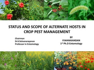 STATUS AND SCOPE OF ALTERNATE HOSTS IN
CROP PEST MANAGEMENT
BY
P.MANIKANDAN
1st Ph.D Entomology
Chairman
Dr.V.Selvanarayanan
Professor in Entomology
 