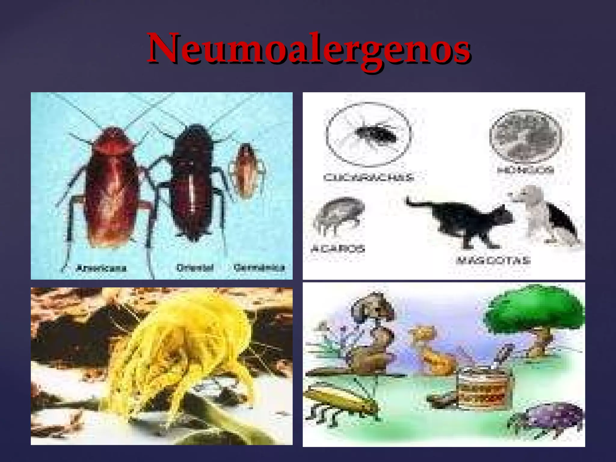 Neumoalergenos 