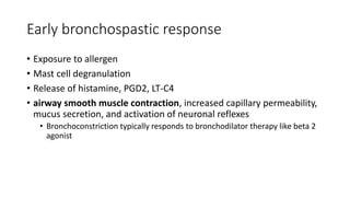 Early bronchospastic response
• Exposure to allergen
• Mast cell degranulation
• Release of histamine, PGD2, LT-C4
• airway smooth muscle contraction, increased capillary permeability,
mucus secretion, and activation of neuronal reflexes
• Bronchoconstriction typically responds to bronchodilator therapy like beta 2
agonist
 