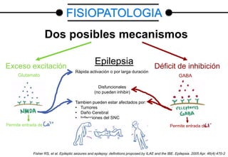 Dos posibles mecanismos
Exceso excitación Déficit de inhibición
Glutamato
Permite entrada de
Epilepsia
Rápida activación o por larga duración
Disfuncionales
(no pueden inhibir)
Tambien pueden estar afectados por:
• Tumores
• Daño Cerebral
• Infecciones del SNC
GABA
Permite entrada de
Fisher RS, et al. Epileptic seizures and epilepsy: definitions proposed by ILAE and the IBE. Epilepsia. 2005 Apr. 46(4):470-2
FISIOPATOLOGIA
 