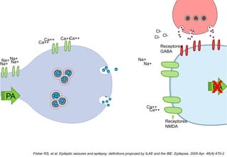 Na+ Na+Na+
Na+
Ca++
Ca++ Ca++Ca++
Na+
Na+
Ca++
Ca++
PA
PA
Receptores
NMDA
Receptores
GABA
Cl-
Cl-
Cl-
X
Fisher RS, et al. Epileptic seizures and epilepsy: definitions proposed by ILAE and the IBE. Epilepsia. 2005 Apr. 46(4):470-2
 